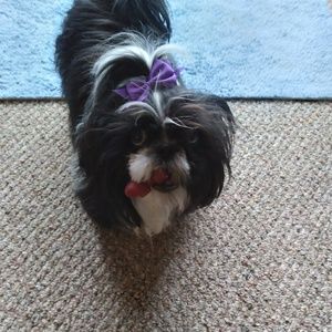 Meet your Posher, Debbie